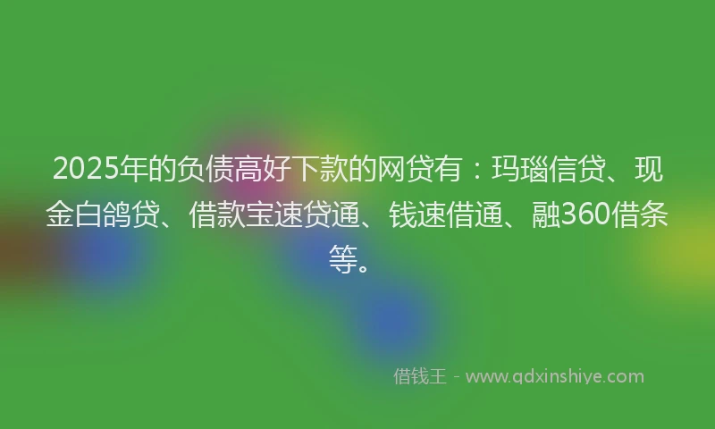 2025年的负债高好下款的网贷有：玛瑙信贷、现金白鸽贷、借款宝速贷通、钱速借通、融360借条等。
