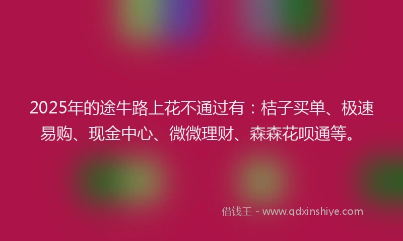 2025年的途牛路上花不通过有：桔子买单、极速易购、现金中心、微微理财、森森花呗通等。