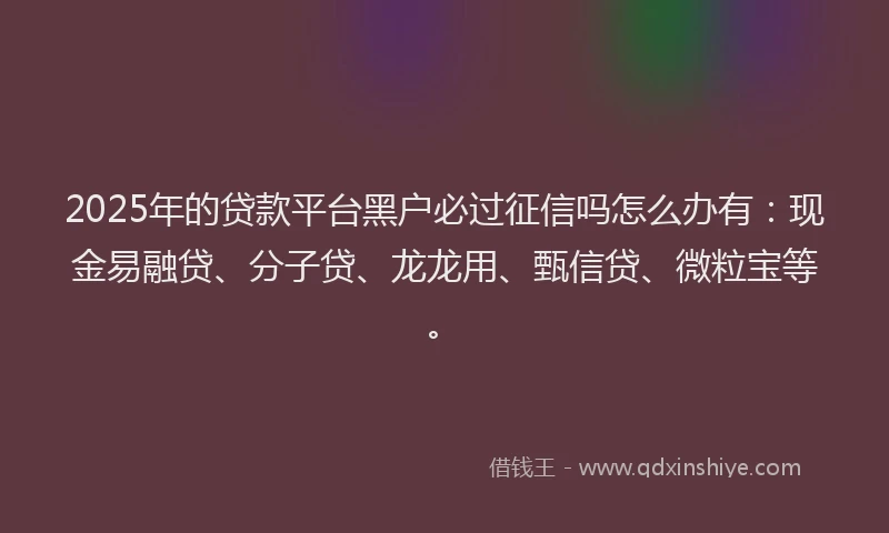 2025年的贷款平台黑户必过征信吗怎么办有：现金易融贷、分子贷、龙龙用、甄信贷、微粒宝等。