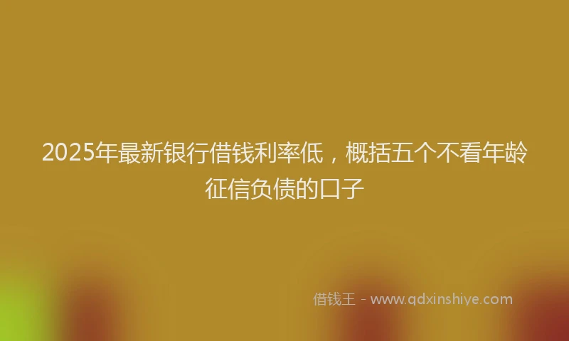 2025年最新银行借钱利率低，概括五个不看年龄征信负债的口子