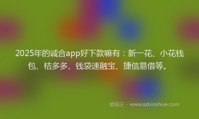 2025年的诚合app好下款嘛有：新一花、小花钱包、桔多多、钱袋速融宝、捷信易借等。