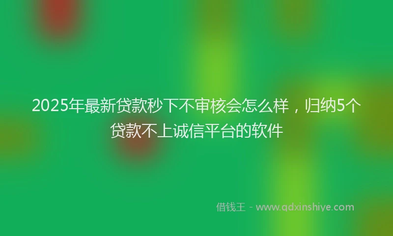 2025年最新贷款秒下不审核会怎么样，归纳5个贷款不上诚信平台的软件