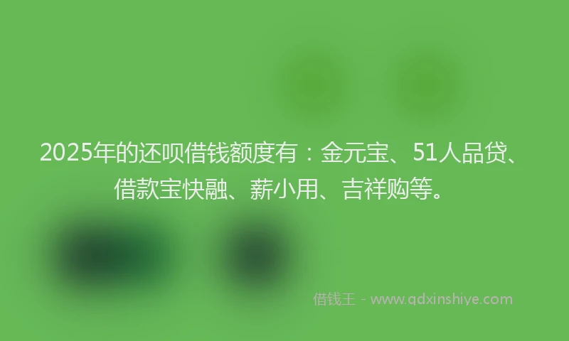 2025年的还呗借钱额度有：金元宝、51人品贷、借款宝快融、薪小用、吉祥购等。