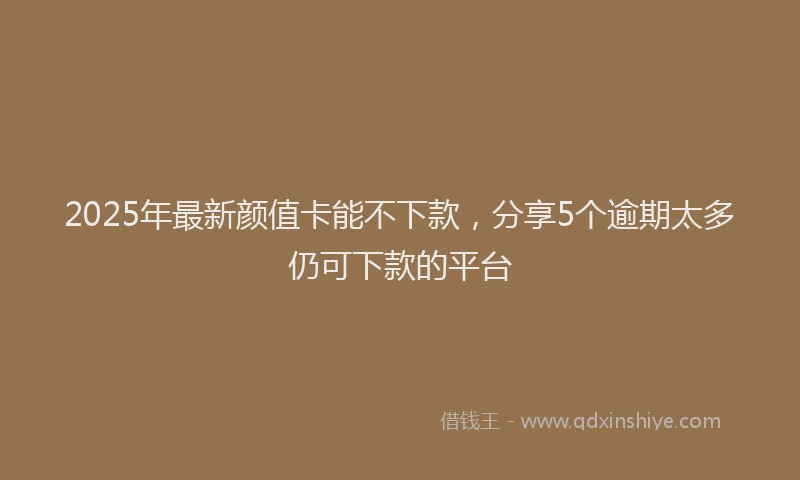 2025年最新颜值卡能不下款，分享5个逾期太多仍可下款的平台
