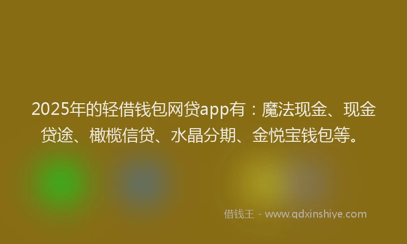 2025年的轻借钱包网贷app有：魔法现金、现金贷途、橄榄信贷、水晶分期、金悦宝钱包等。
