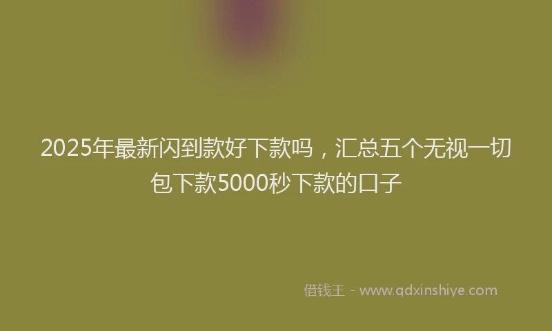 2025年最新闪到款好下款吗，汇总五个无视一切包下款5000秒下款的口子