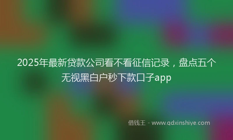 2025年最新贷款公司看不看征信记录，盘点五个无视黑白户秒下款口子app