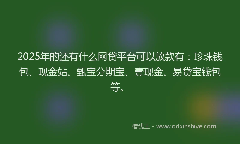 2025年的还有什么网贷平台可以放款有：珍珠钱包、现金站、甄宝分期宝、壹现金、易贷宝钱包等。