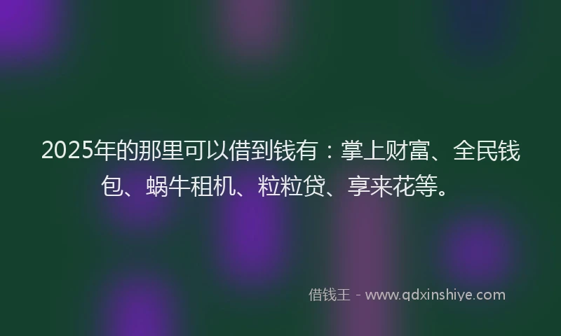 2025年的那里可以借到钱有：掌上财富、全民钱包、蜗牛租机、粒粒贷、享来花等。