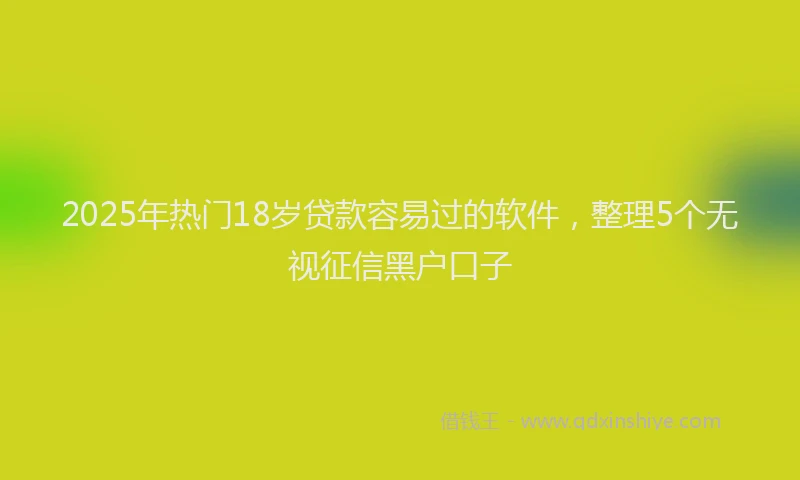 2025年热门18岁贷款容易过的软件，整理5个无视征信黑户口子