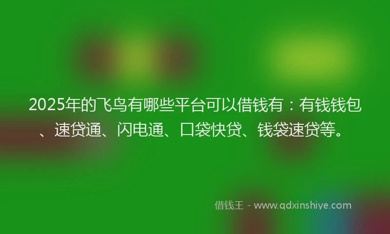 2025年的飞鸟有哪些平台可以借钱有：有钱钱包、速贷通、闪电通、口袋快贷、钱袋速贷等。