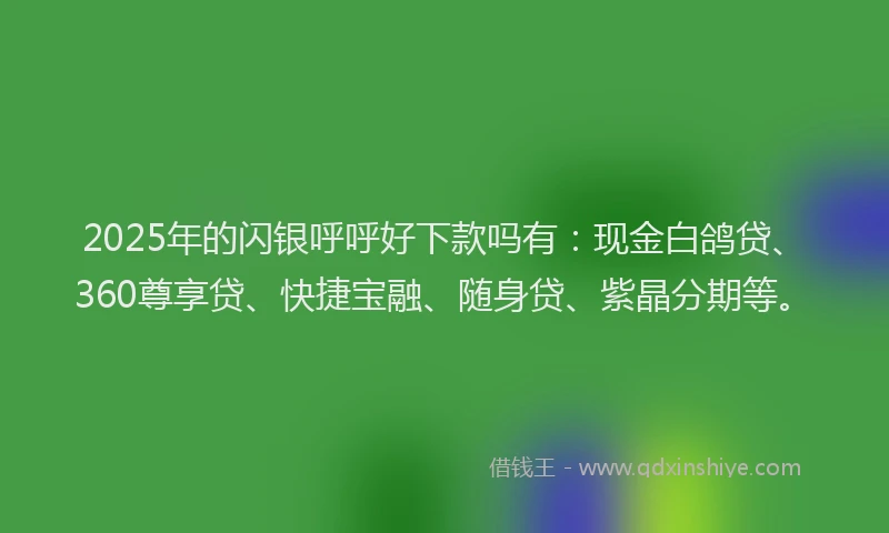 2025年的闪银呼呼好下款吗有：现金白鸽贷、360尊享贷、快捷宝融、随身贷、紫晶分期等。