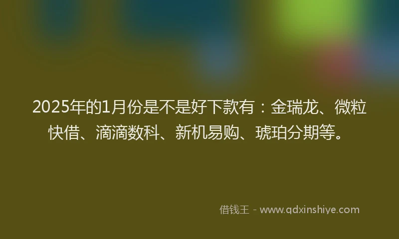 2025年的1月份是不是好下款有：金瑞龙、微粒快借、滴滴数科、新机易购、琥珀分期等。