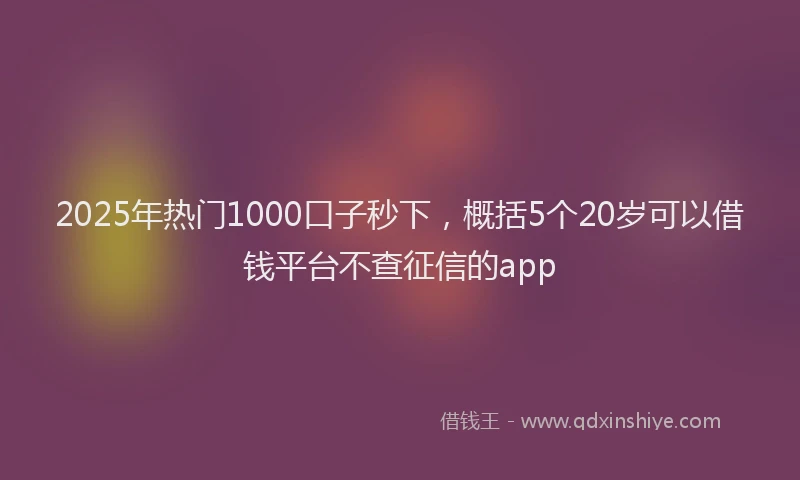 2025年热门1000口子秒下，概括5个20岁可以借钱平台不查征信的app