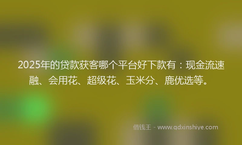 2025年的贷款获客哪个平台好下款有：现金流速融、会用花、超级花、玉米分、鹿优选等。