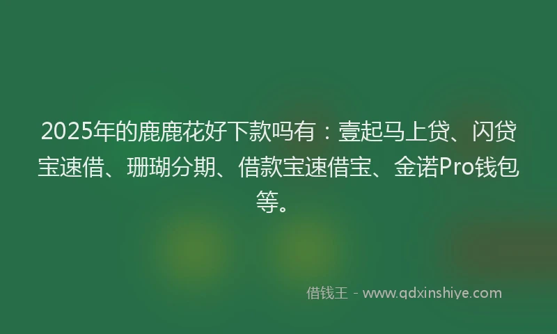 2025年的鹿鹿花好下款吗有：壹起马上贷、闪贷宝速借、珊瑚分期、借款宝速借宝、金诺Pro钱包等。