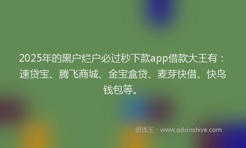 2025年的黑户烂户必过秒下款app借款大王有：速贷宝、腾飞商城、金宝盒贷、麦芽快借、快鸟钱包等。