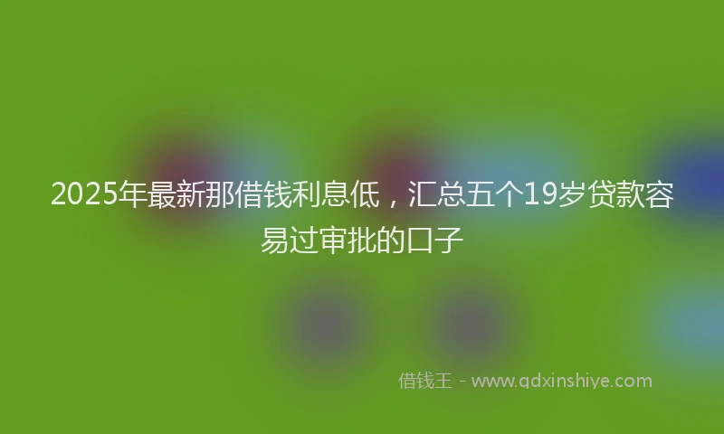 2025年最新那借钱利息低，汇总五个19岁贷款容易过审批的口子