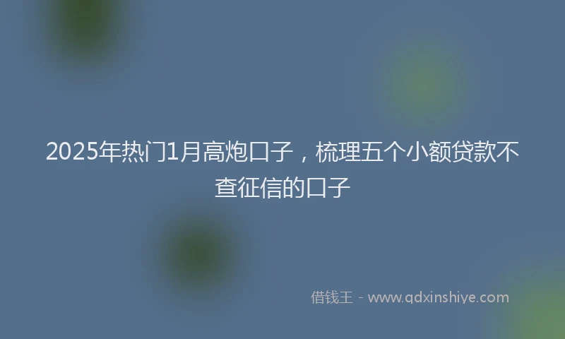 2025年热门1月高炮口子，梳理五个小额贷款不查征信的口子