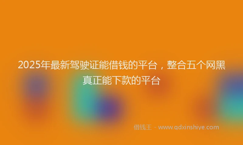 2025年最新驾驶证能借钱的平台，整合五个网黑真正能下款的平台