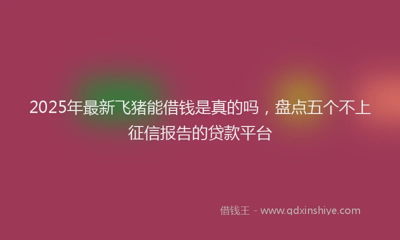 2025年最新飞猪能借钱是真的吗，盘点五个不上征信报告的贷款平台