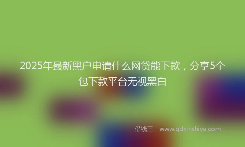 2025年最新黑户申请什么网贷能下款，分享5个包下款平台无视黑白