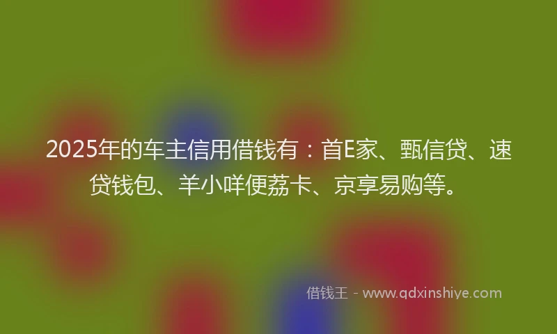 2025年的车主信用借钱有：首E家、甄信贷、速贷钱包、羊小咩便荔卡、京享易购等。