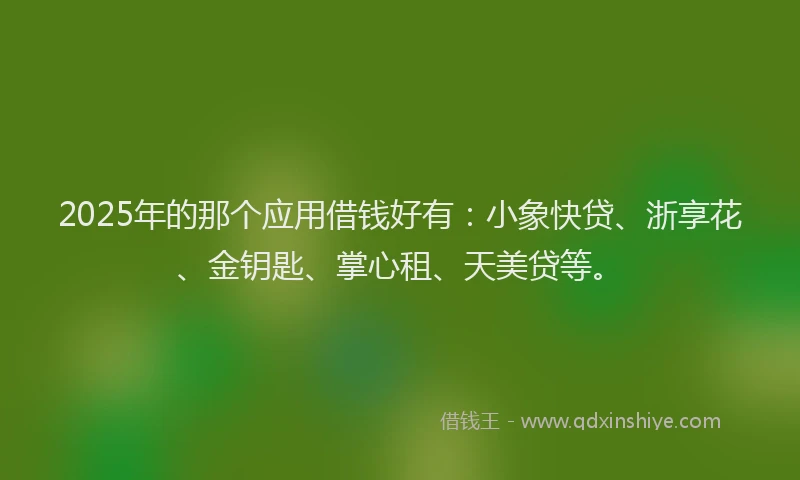 2025年的那个应用借钱好有：小象快贷、浙享花、金钥匙、掌心租、天美贷等。