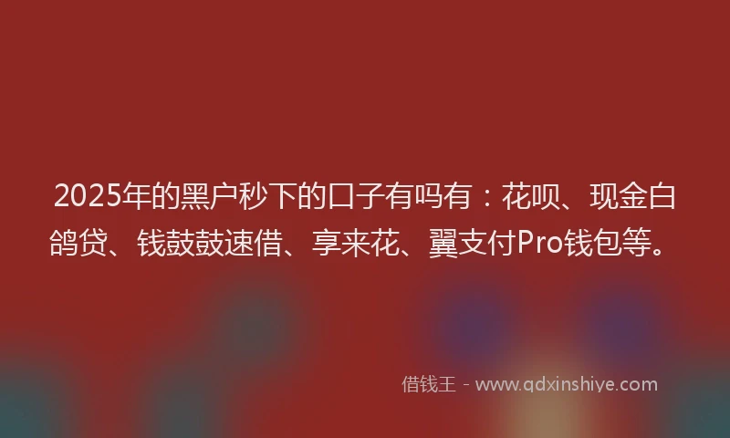 2025年的黑户秒下的口子有吗有：花呗、现金白鸽贷、钱鼓鼓速借、享来花、翼支付Pro钱包等。