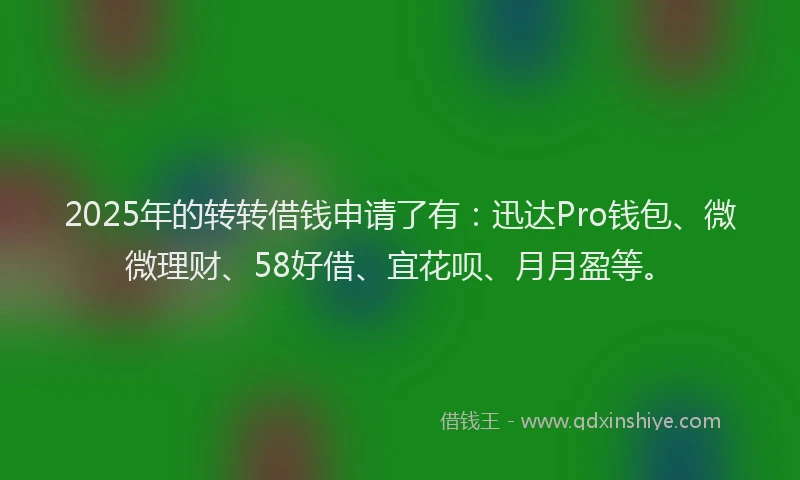 2025年的转转借钱申请了有：迅达Pro钱包、微微理财、58好借、宜花呗、月月盈等。