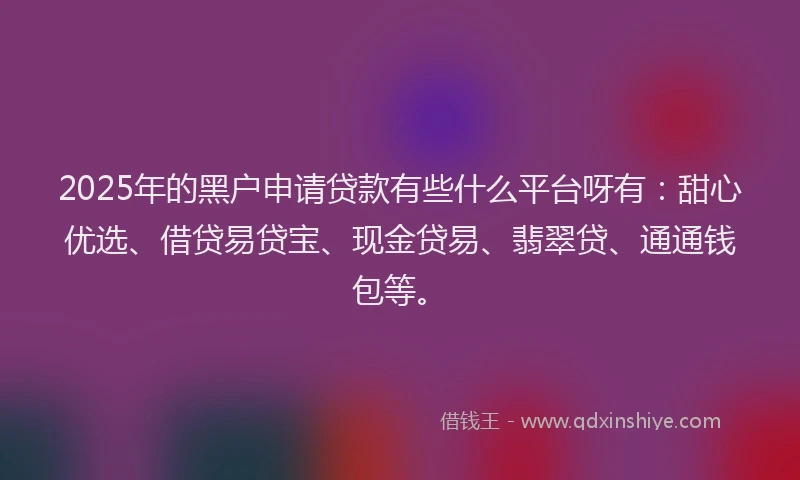2025年的黑户申请贷款有些什么平台呀有：甜心优选、借贷易贷宝、现金贷易、翡翠贷、通通钱包等。