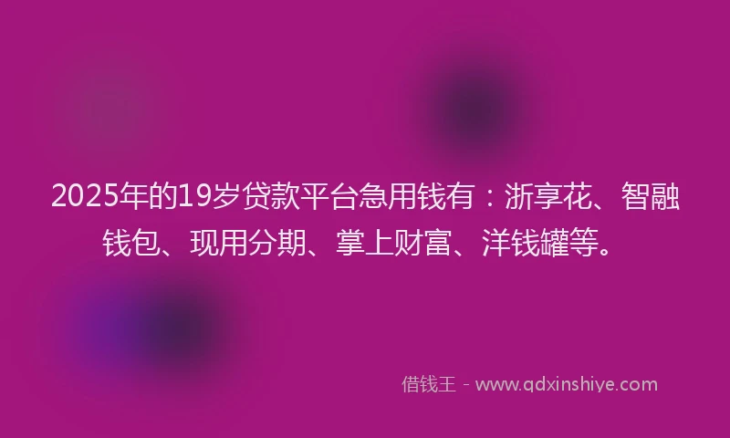 2025年的19岁贷款平台急用钱有：浙享花、智融钱包、现用分期、掌上财富、洋钱罐等。