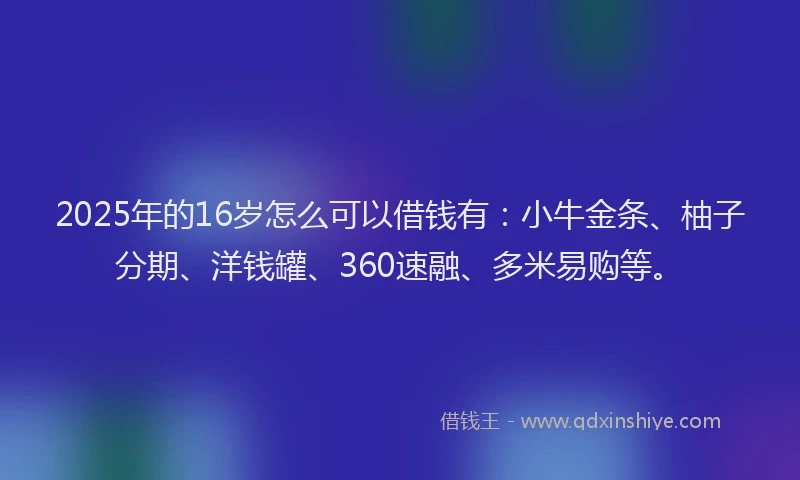 2025年的16岁怎么可以借钱有：小牛金条、柚子分期、洋钱罐、360速融、多米易购等。