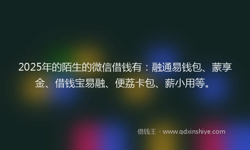 2025年的陌生的微信借钱有：融通易钱包、蒙享金、借钱宝易融、便荔卡包、薪小用等。