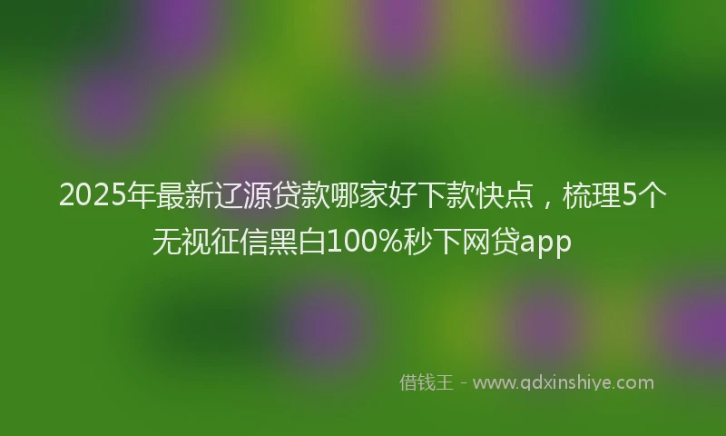 2025年最新辽源贷款哪家好下款快点，梳理5个无视征信黑白100%秒下网贷app