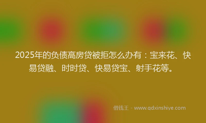 2025年的负债高房贷被拒怎么办有：宝来花、快易贷融、时时贷、快易贷宝、射手花等。