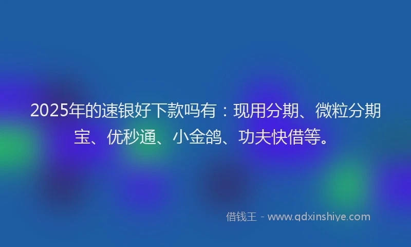 2025年的速银好下款吗有：现用分期、微粒分期宝、优秒通、小金鸽、功夫快借等。