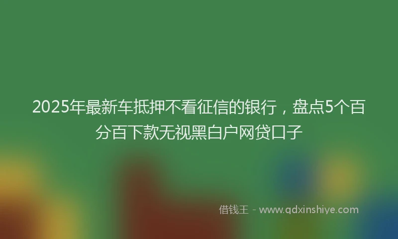 2025年最新车抵押不看征信的银行，盘点5个百分百下款无视黑白户网贷口子