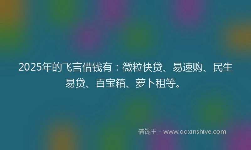 2025年的飞言借钱有：微粒快贷、易速购、民生易贷、百宝箱、萝卜租等。