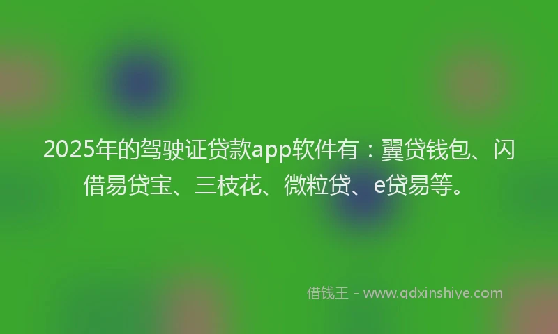 2025年的驾驶证贷款app软件有：翼贷钱包、闪借易贷宝、三枝花、微粒贷、e贷易等。