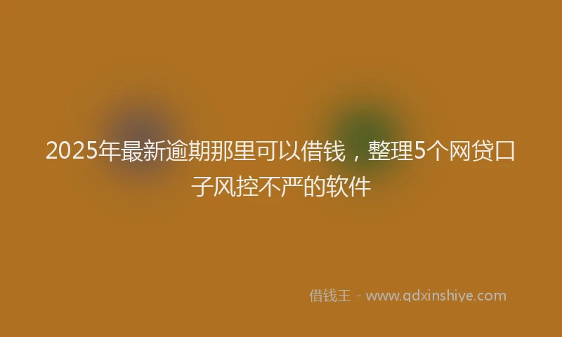 2025年最新逾期那里可以借钱，整理5个网贷口子风控不严的软件