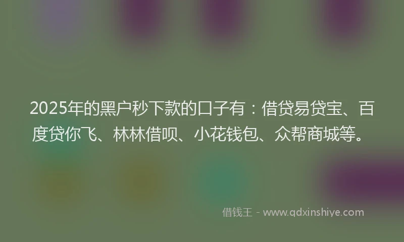 2025年的黑户秒下款的口子有：借贷易贷宝、百度贷你飞、林林借呗、小花钱包、众帮商城等。