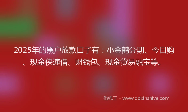 2025年的黑户放款口子有：小金鹤分期、今日购、现金侠速借、财钱包、现金贷易融宝等。