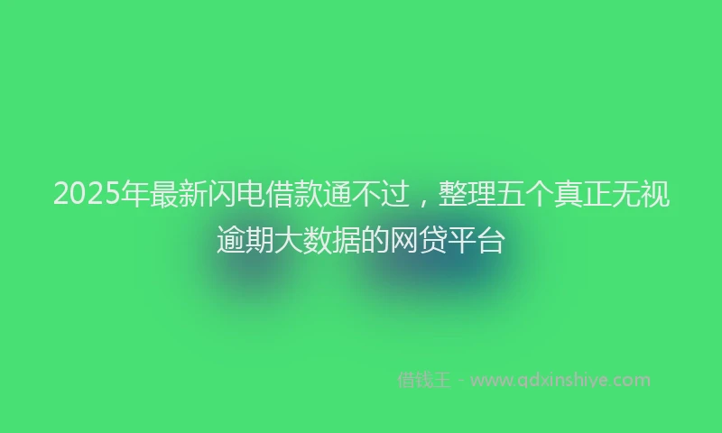 2025年最新闪电借款通不过，整理五个真正无视逾期大数据的网贷平台