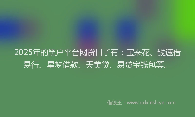 2025年的黑户平台网贷口子有：宝来花、钱速借易行、星梦借款、天美贷、易贷宝钱包等。