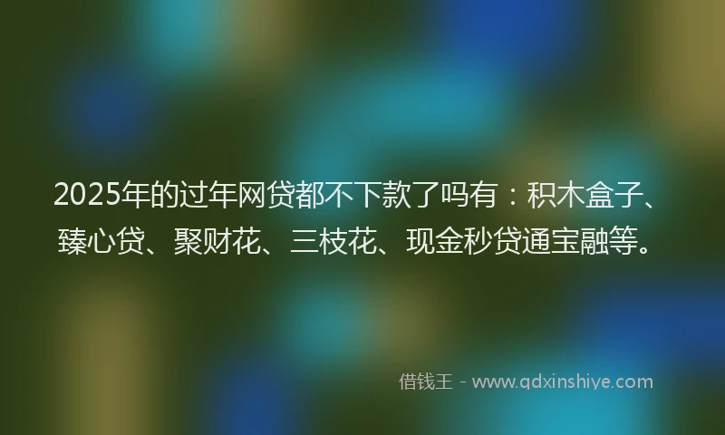 2025年的过年网贷都不下款了吗有：积木盒子、臻心贷、聚财花、三枝花、现金秒贷通宝融等。