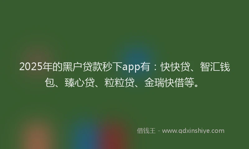 2025年的黑户贷款秒下app有：快快贷、智汇钱包、臻心贷、粒粒贷、金瑞快借等。