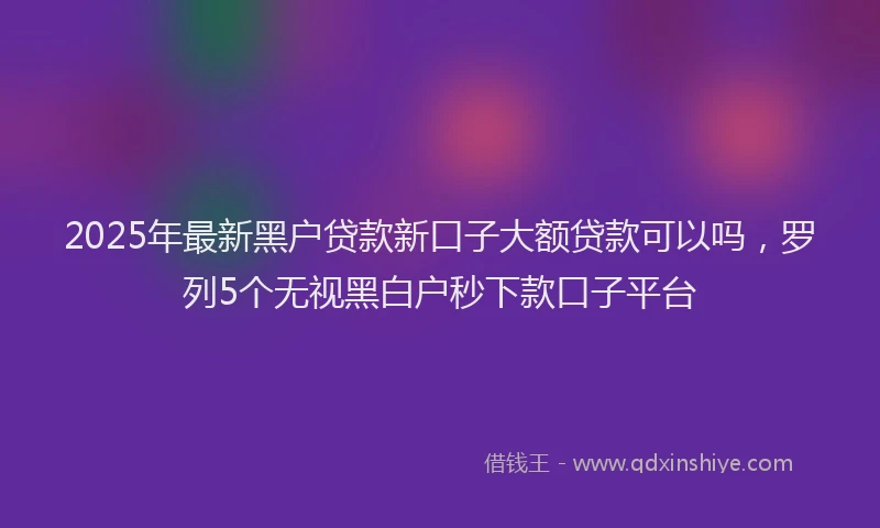 2025年最新黑户贷款新口子大额贷款可以吗，罗列5个无视黑白户秒下款口子平台