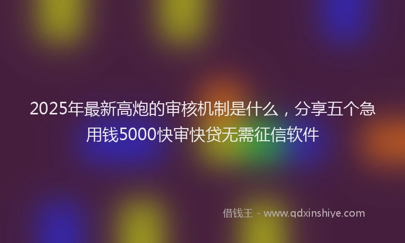 2025年最新高炮的审核机制是什么，分享五个急用钱5000快审快贷无需征信软件