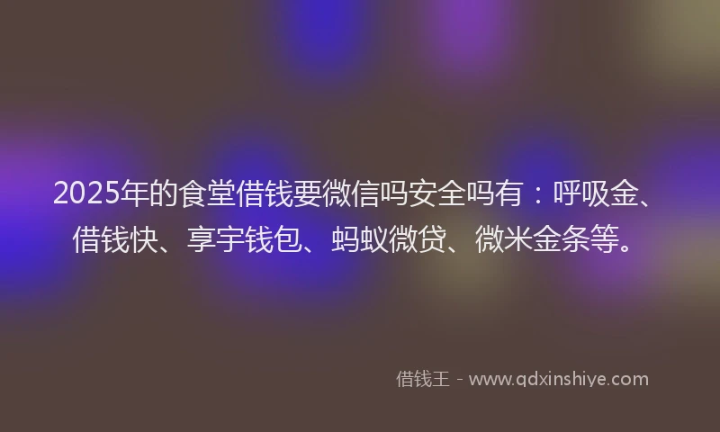 2025年的食堂借钱要微信吗安全吗有：呼吸金、借钱快、享宇钱包、蚂蚁微贷、微米金条等。